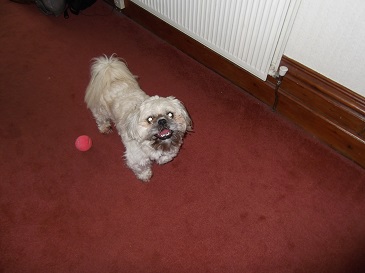 charlie2012-09
