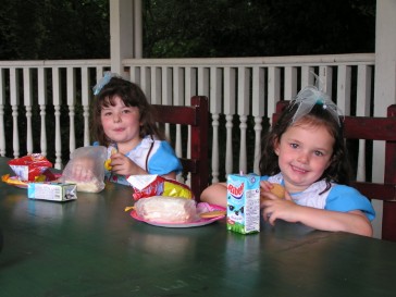 alice2005-41