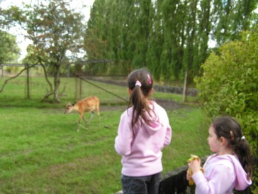 chesterzoo2006-04