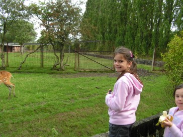 chesterzoo2006-05