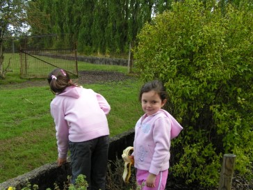 chesterzoo2006-06