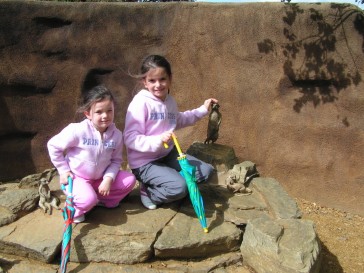 chesterzoo2006-14