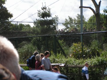 chesterzoo2006-21