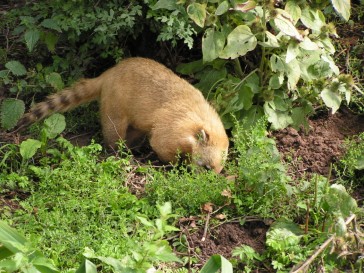 chesterzoo2006-24