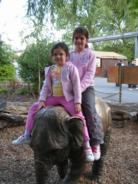 chesterzoo2006-37