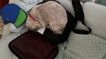 ted-03