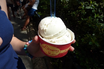 spain2011-39