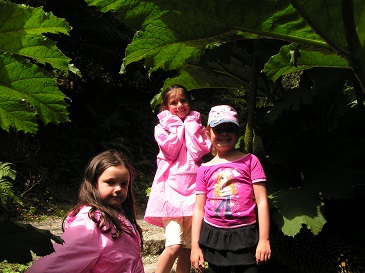 stives2007-24