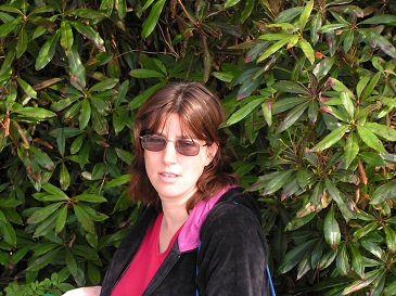 wales2006-06