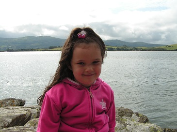wales2006-15