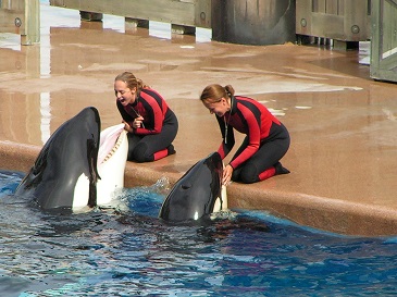 seaworld-01