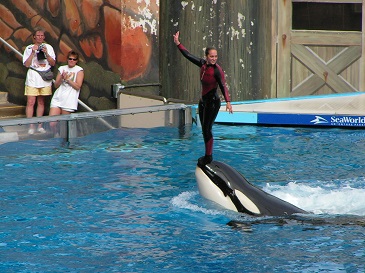 seaworld-03