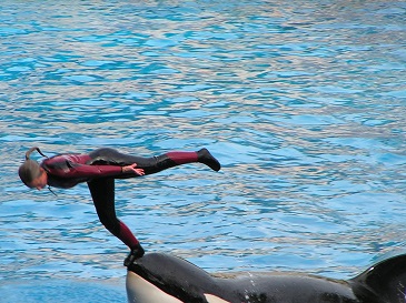 seaworld-06