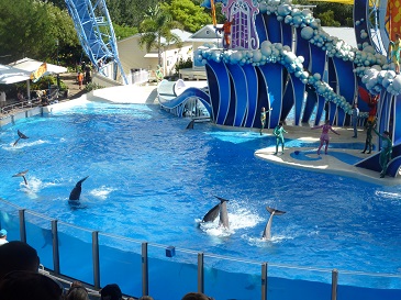 seaworld-16