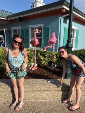 florida2018-11