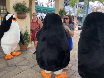 florida2018-99