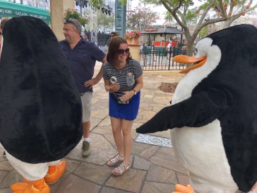 florida2018-102