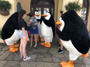 florida2018-116