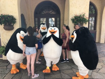 florida2018-118