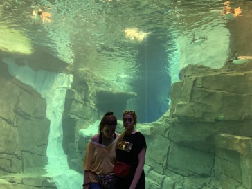 florida2019-88