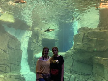 florida2019-89