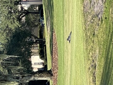 florida2022-30