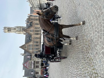 belgiumfrance2023-07