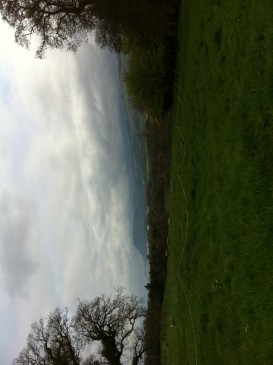 wales2011-03