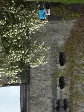 wales2011-10