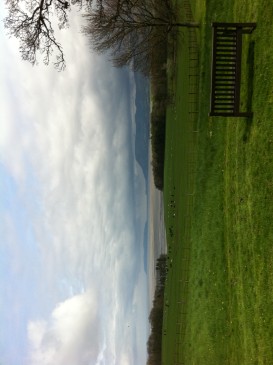 wales2011-15